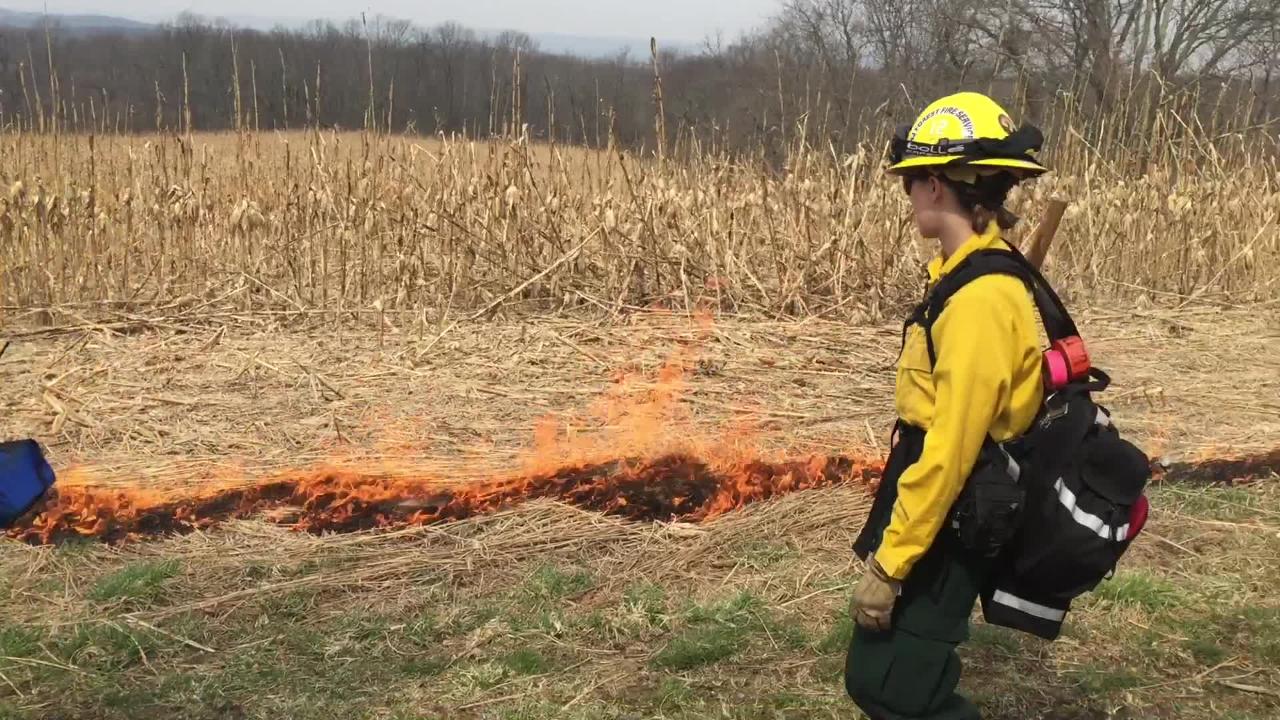 Nj Forest Fire Service Puts Restrictions On Morris And Passaic