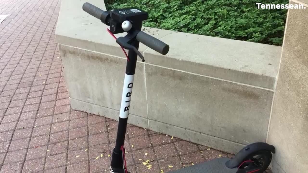 craigslist scooters