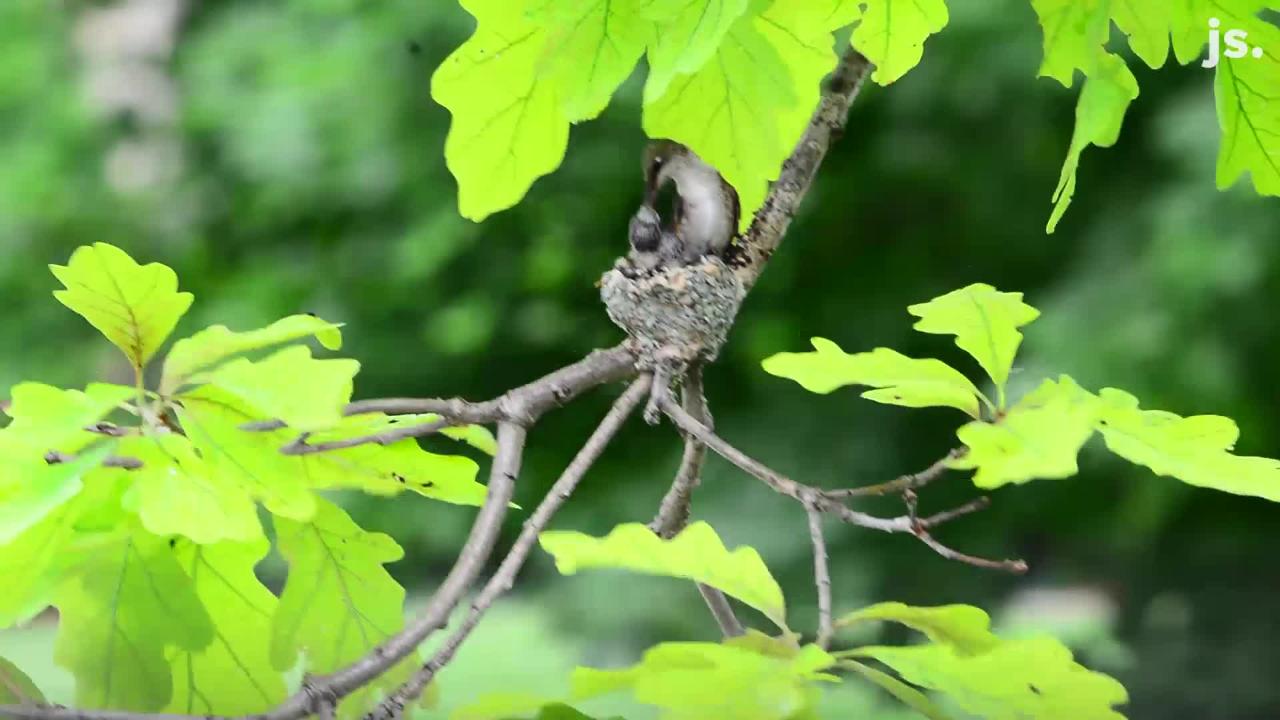 23 Great Plants Most New to Wisconsin in 2023