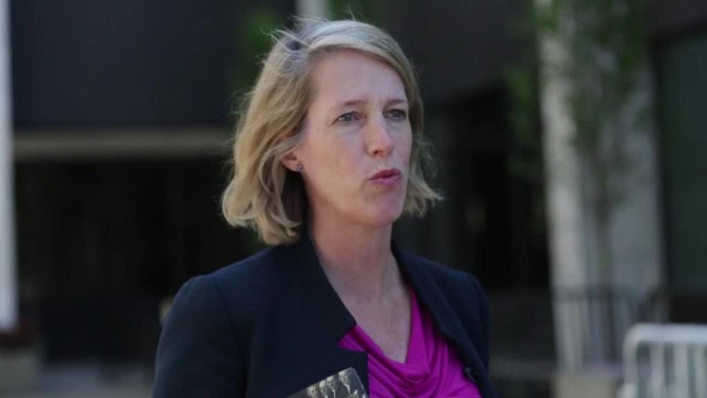 Zephyr Teachout will take on corruption if she becomes New York&apos;s next Attorney General