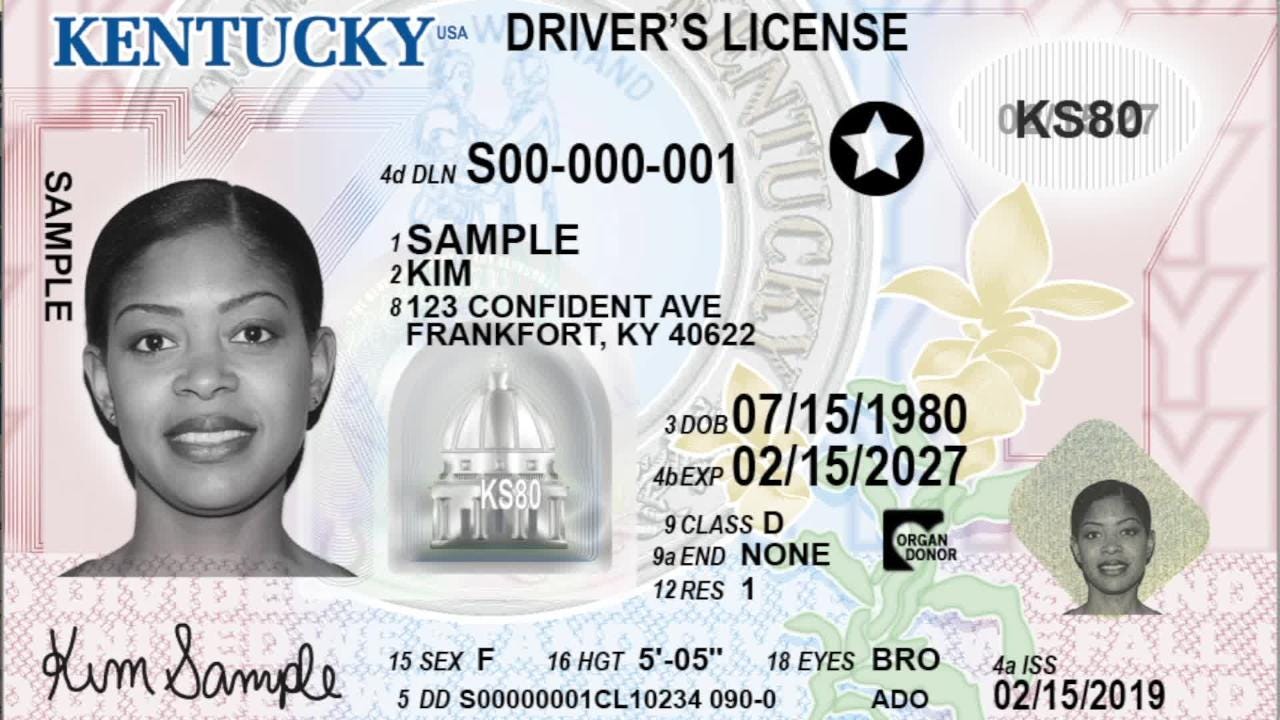 Florida driver's licenses get new look 