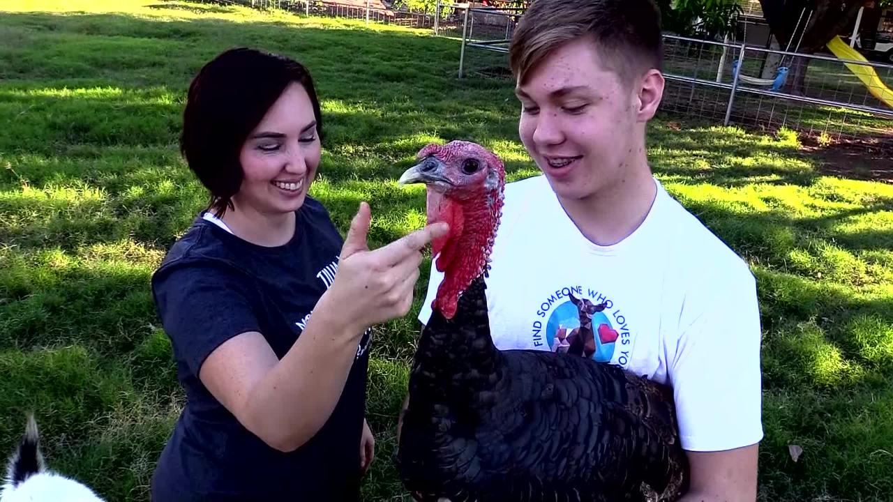 Gilbert family brings farm to its backyard