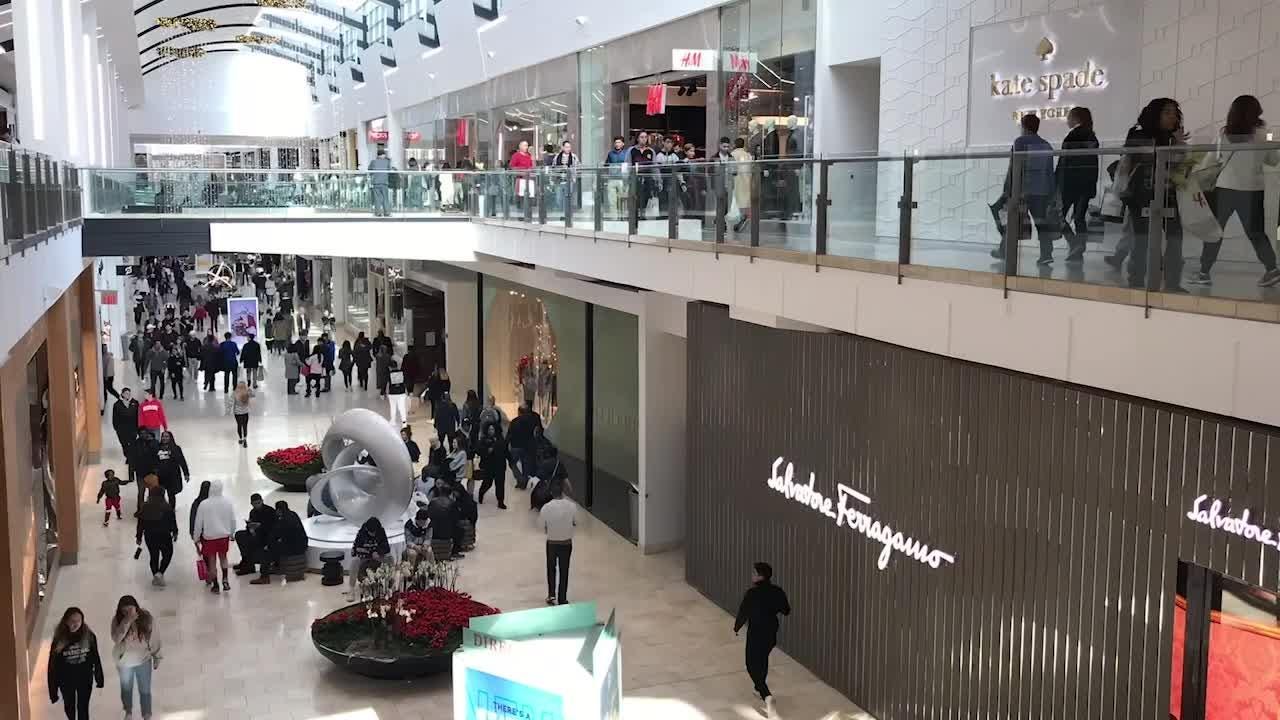 Time Lapse Video Of Shoppers At Garden State Plaza On Black Friday