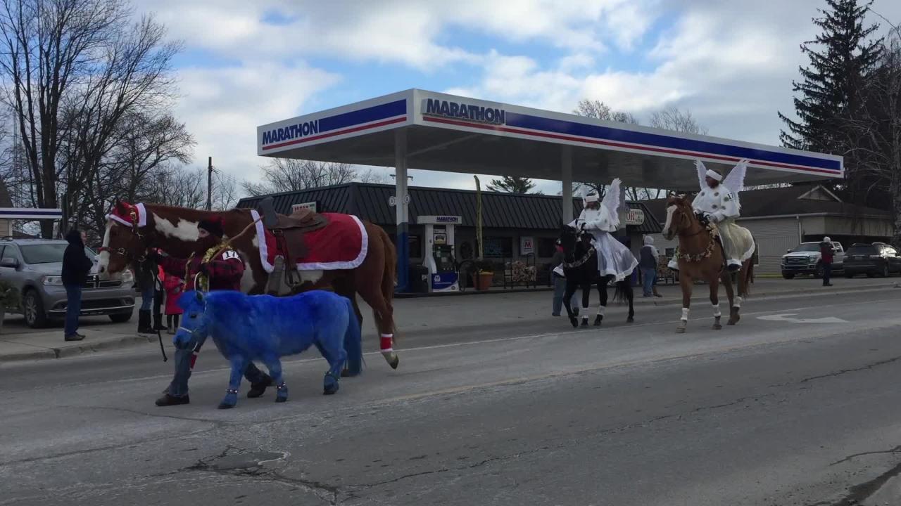 Lexington Horse Parade