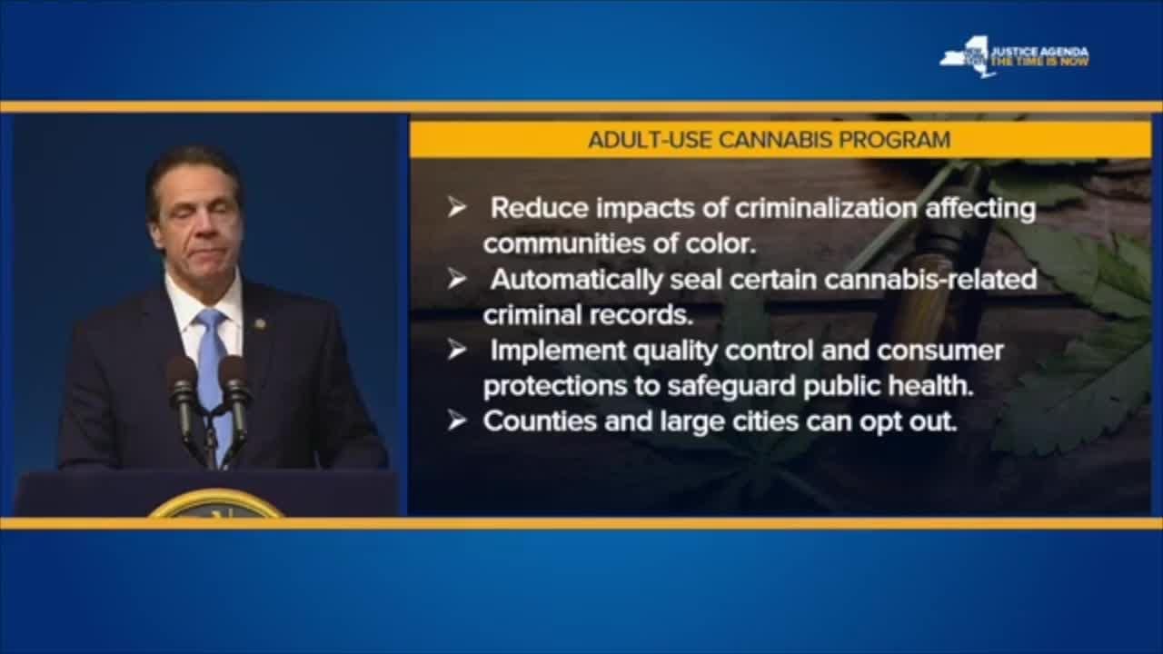 Manager Report Format Cannabis taxes, fees and fines bring in $80M for NY in fiscal year