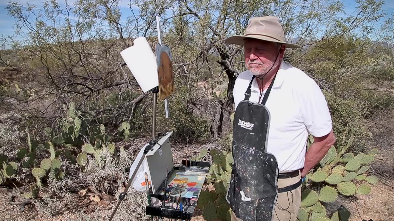 Saguaro National Park Open During Shutdown As Parks Tap Past