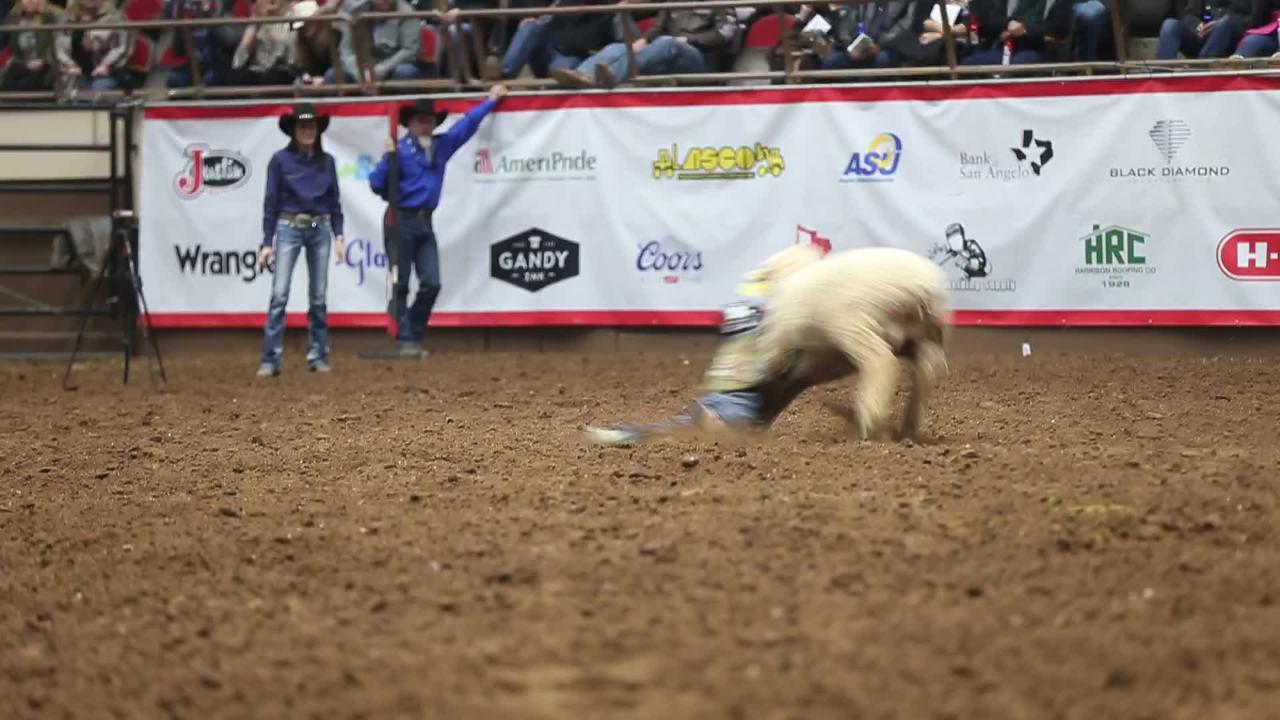 Longest mutton bustin' ride of the 2019 San Angelo Rodeo