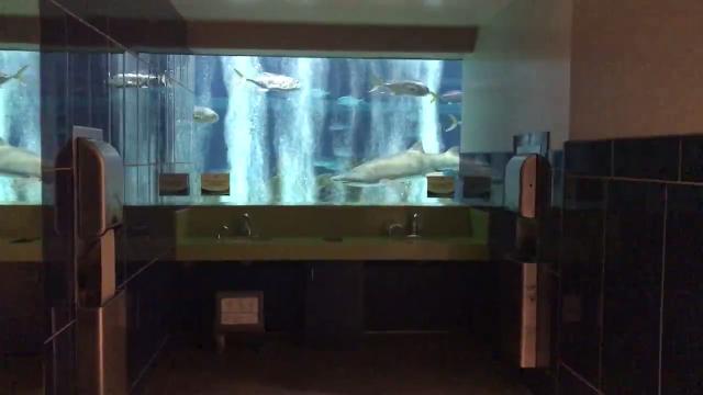 Home  Shark Tank Esade