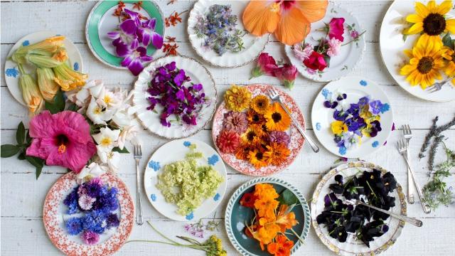 Edible flowers: How to use them in sweet, savory dishes, drinks