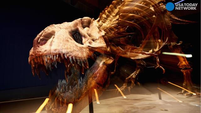 Sorry, Jurassic Park fans: New research says the T. rex actually couldn't  run