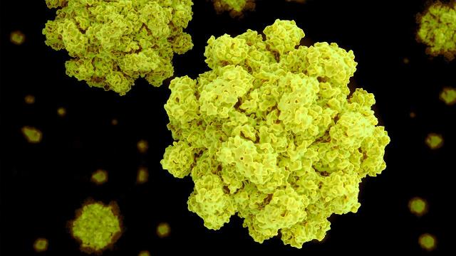 Notable Norovirus Outbreaks On Cruise Ships   29906170001 5513397700001 5513390354001 Vs 