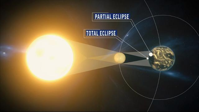 how to see the eclipse in florida
