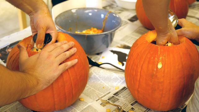 Pumpkin Master's Night & Day Carving Kit - Orman Inc.