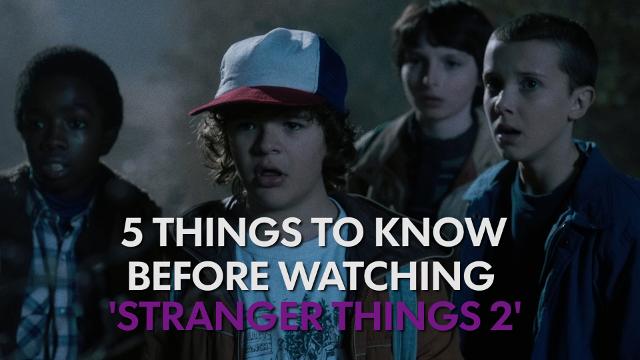 Season two of 'Stranger Things': Barb, Eggos, the Upside Down - The Tufts  Daily