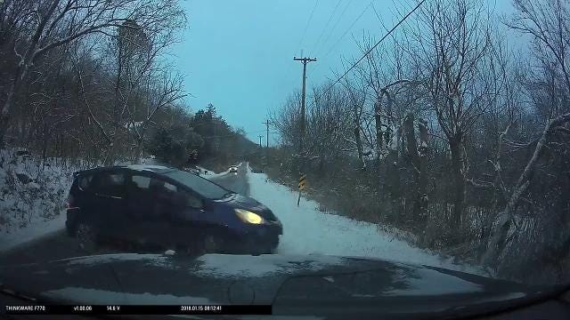 Car slides on 'black ice' into cop cruiser