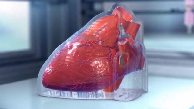 3D Printing Of Human Heart  . Enjoy The Fantastic Details Of This Model!