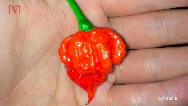 Brain effects of 'hottest pepper in the world' put man in hospital
