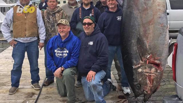 Retired Army general reels in record bluefin tuna