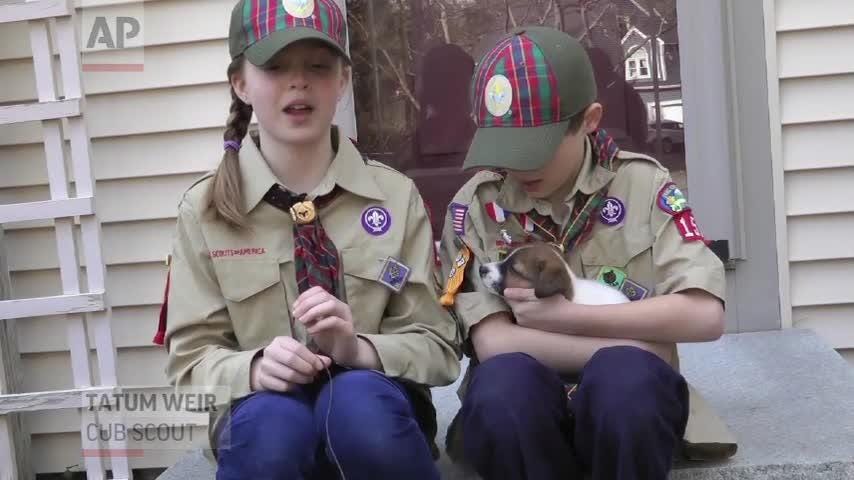 The Boy Scouts of America to make Boy Scouts co-ed in 2019
