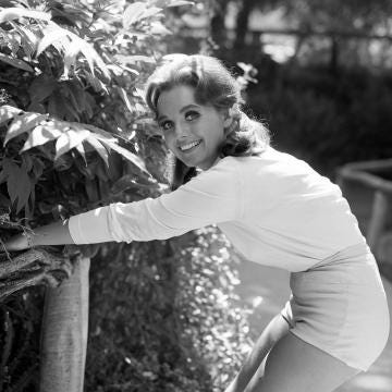 Gilligan Star Dawn Wells Accepts 197k In Gofundme Donations gofundme started for actress who played mary ann on gilligan s island