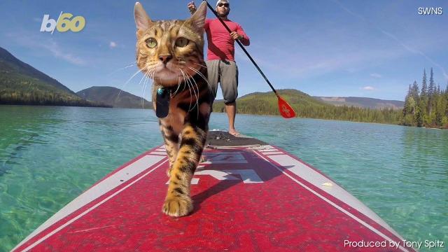 S Mores Meets Paddleboarding On Rehoboth Bay This Weekend