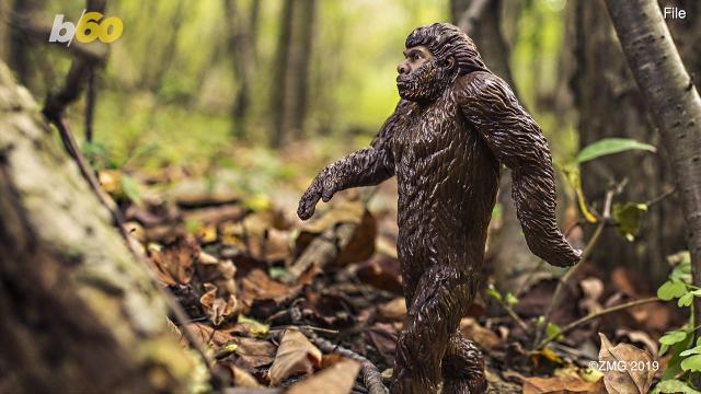 animal planet bigfoot toy