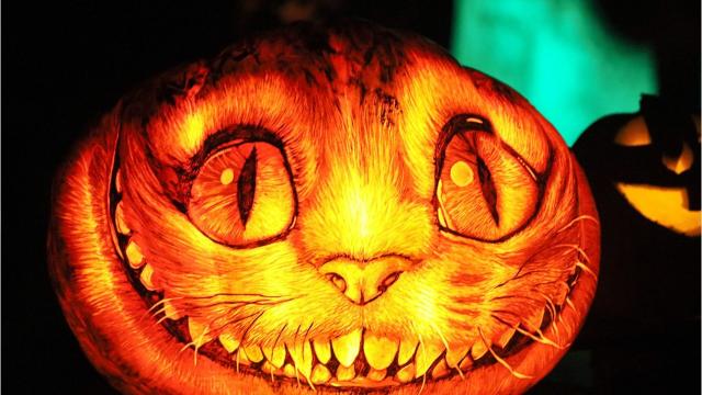 Image result for jack o lantern