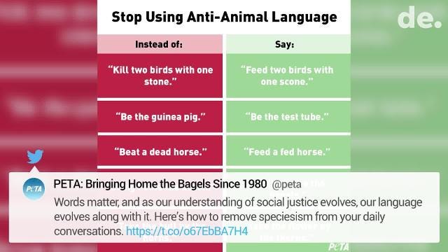 After Peta Tweet Against Anti Animal Idioms Twitter Responds - peta missive draws flak on twitter