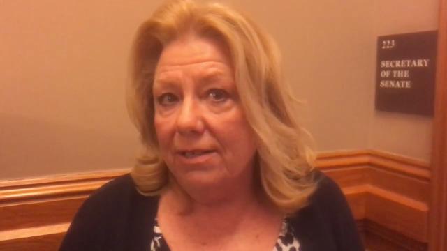 Mimi Reed Carter Reed Iowa Iowa Senate GOP proposes $1 billion in annual state tax relief
