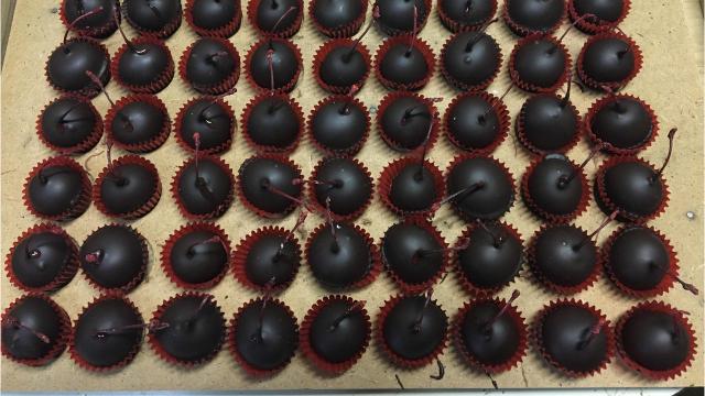 Cupcake Chocolate Oreo Cookie Mold 1656 NEW 