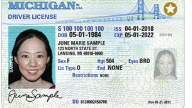 check driver license fl status