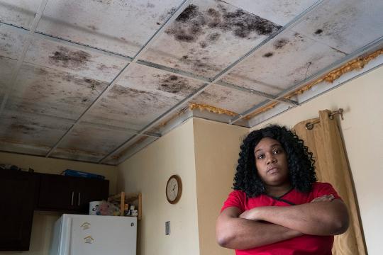 Mold Plagues Nj Renters Who Have Nowhere To Turn