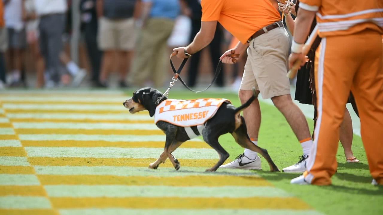 Tennessee Vols: Smokey named one of college sports' best mascots