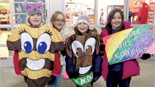 girl scout cookie box costume