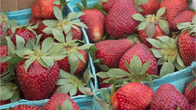 Portland, TN celebrates berry history in annual Strawberry Festival