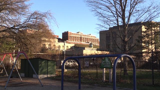 Ossining Officials Look For Answers For Feral Cat Shelter Issue