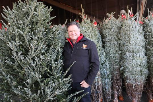 Christmas Tree 101 With Stew Leonard Jr