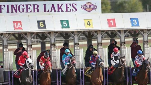 Finger Lakes Racing Schedule 2022 Finger Lakes Racetrack Considers Big Change