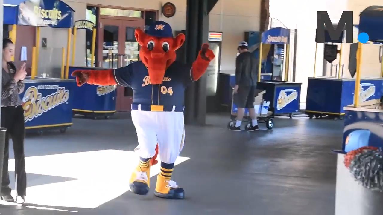 Big Mo cut back on the biscuits this - Montgomery Biscuits