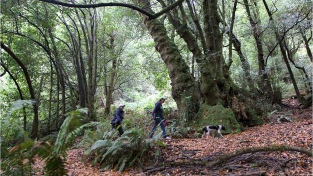 5 Best Hikes Near Gold Beach Feature Old Growth Forest And Ocean Beach