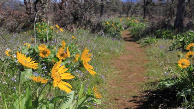How to avoid crowds at Oregon's most beautiful outdoor destinations
