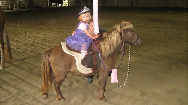 spirit hobby horse