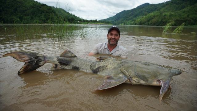 National Geographic's Monster Fish star talks about a new season and being  a new dad