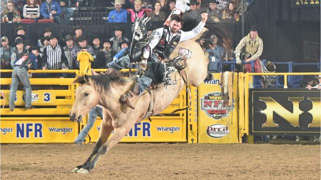 Video: Dancing horses a big hit at Reno Rodeo Parade
