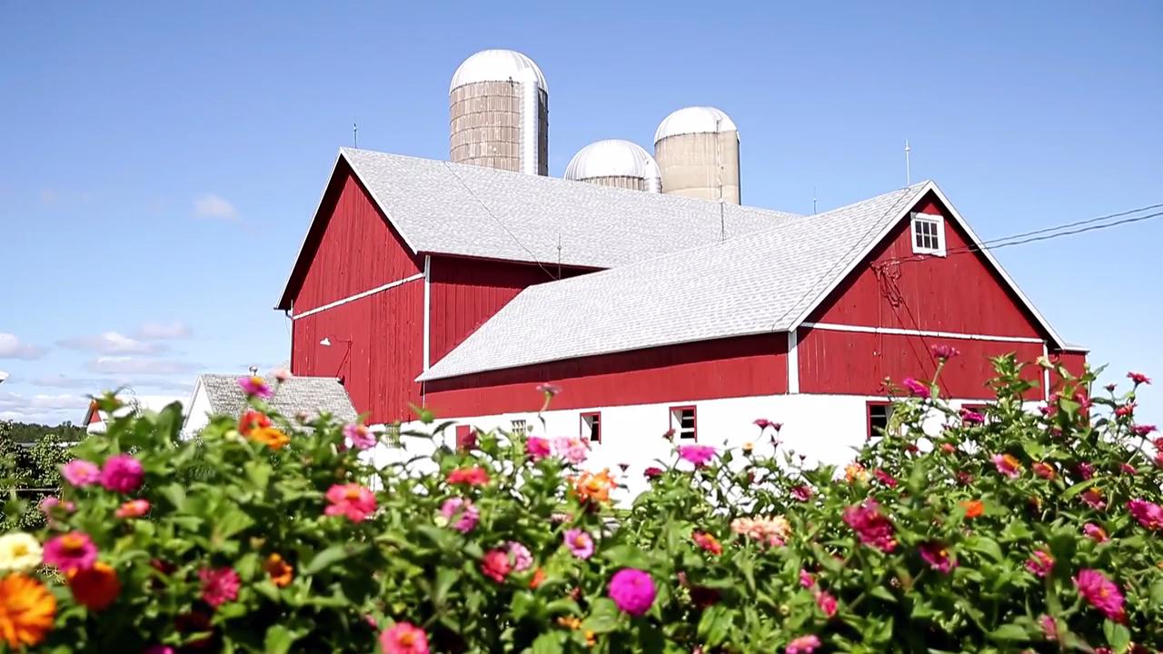 Red Barn Family Farms Wisconsin Dairy Maker Puts Local Farmers First