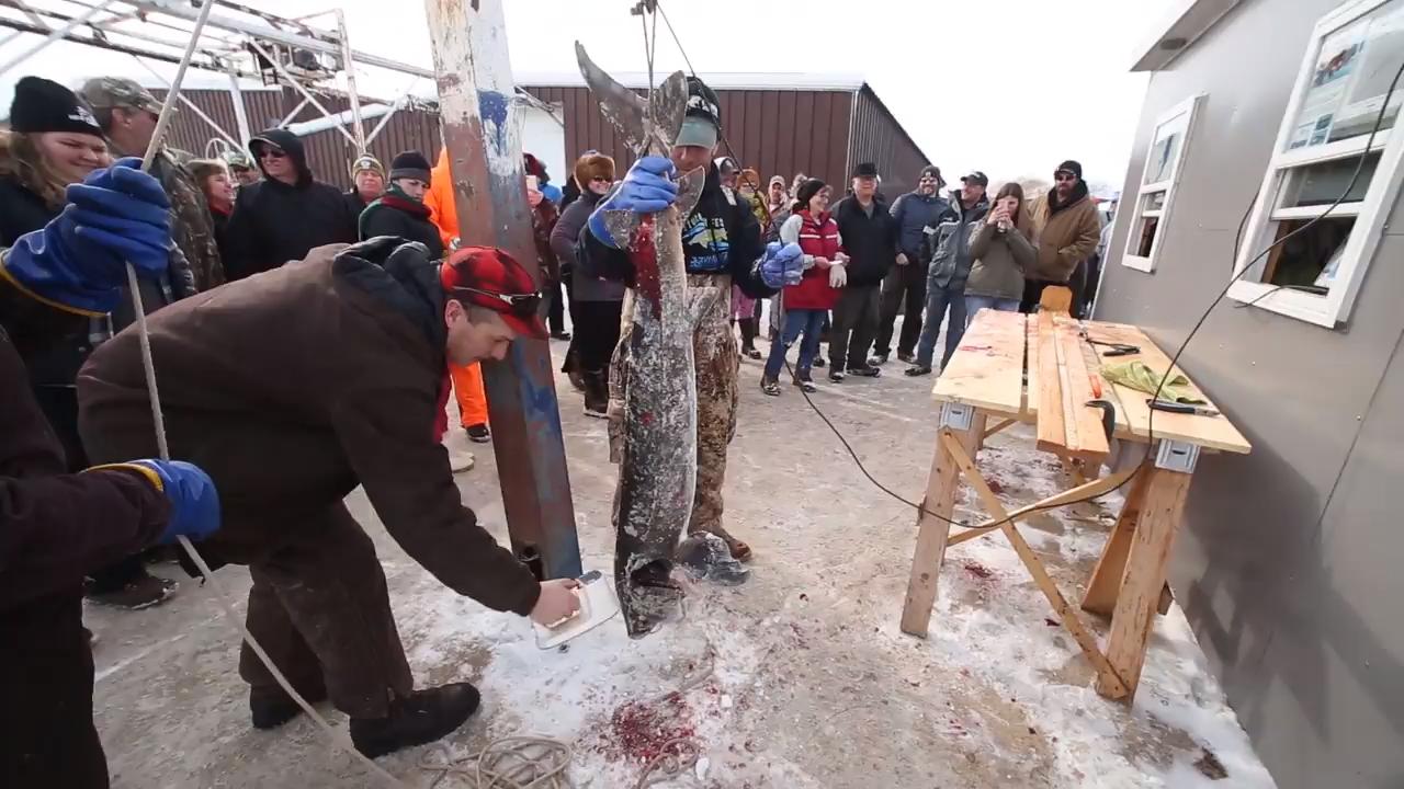 How Not to Win an Ice Fishing Tournamnet - Battle On Bago Three
