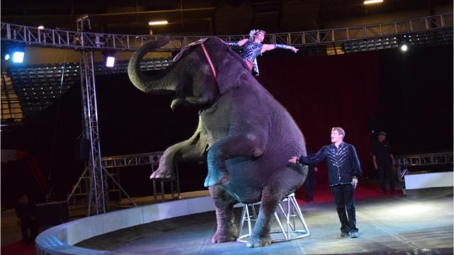 Garden Bros. Circus set for Thursday at Rapides Parish Coliseum