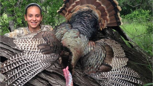 South Texas Spring Turkey Hunting Promises Good Conditions Gobblers