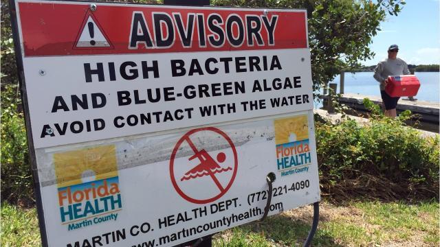 Vibrio Vulnificus Florida Map Vibrio (aka flesh eating) bacterial infections down in Florida in 2018