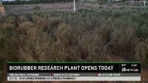 Mesa bounces into bio with high tech rubber research center